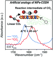 Graphical abstract: In situ FTIR study of CO2 reduction on inorganic analogues of carbon monoxide dehydrogenase
