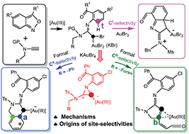 Graphical abstract: Theoretical evaluation of the carbene-based site-selectivity in gold(iii)-catalyzed annulations of alkynes with anthranils