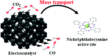Graphical abstract: How does mass transfer influence electrochemical carbon dioxide reduction reaction? A case study of Ni molecular catalyst supported on carbon