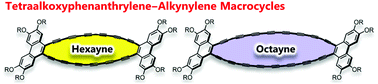 Graphical abstract: Arylene–hexaynylene and –octaynylene macrocycles: extending the polyyne chains drives self-association by enhanced dispersion force
