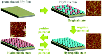 Graphical abstract: Aβ aggregation behavior at interfaces with switchable wettability: a bioinspired perspective to understand amyloid formation