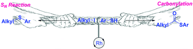 Graphical abstract: Rhodium-catalyzed carbonylative coupling of alkyl halides with thiols: a radical process faster than easier nucleophilic substitution