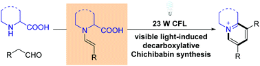 Graphical abstract: Chichibabin pyridinium synthesis via oxidative decarboxylation of photoexcited α-enamine acids