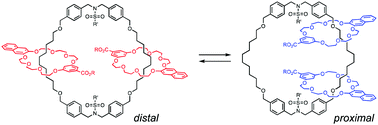 Graphical abstract: Translational isomers of N-sulfonylated [3]catenane: synthesis and isomerization