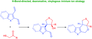 Graphical abstract: Enantioselective H-bond-directed vinylogous iminium ion strategy for the functionalization of vinyl-substituted heteroaryl aldehydes