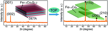 Graphical abstract: Chemical conversion synthesis of magnetic Fe1−xCox alloy nanosheets with controlled composition