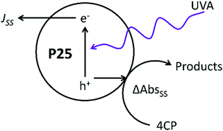 Graphical abstract: Probing P25 TiO2 photocatalysis using photoinduced absorption spectroscopy (PIAS)
