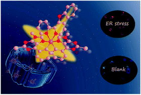 Graphical abstract: Purine-based Ir(iii) complexes for sensing viscosity of endo-plasmic reticulum with fluorescence lifetime imaging microscopy