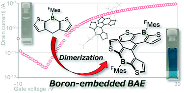 Graphical abstract: Thiophene-based twisted bistricyclic aromatic ene with tricoordinate boron: a new n-type semiconductor