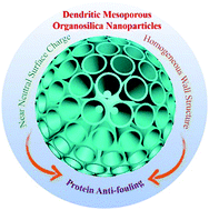 Graphical abstract: Synthesis of dendritic mesoporous organosilica nanoparticles under a mild acidic condition with homogeneous wall structure and near-neutral surface