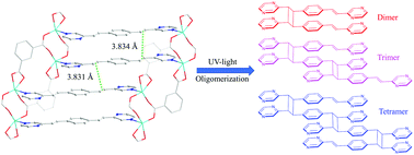 Graphical abstract: Photo-oligomerization by shifting the coordination site in a luminescent coordination polymer
