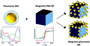 Graphical abstract: The design of magneto-plasmonic nanostructures formed by magnetic Prussian Blue-type nanocrystals decorated with Au nanoparticles