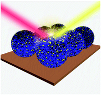 Graphical abstract: Vanadium dioxide nanostructures with remarkable surface-enhanced Raman scattering activity