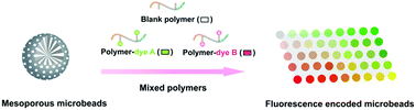 Graphical abstract: A facile polymer mediated dye incorporation method for fluorescence encoded microbeads with large encoding capacities