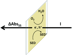 Graphical abstract: Kinetics of the photocatalysed reduction of oxygen by CdS probed using photoinduced absorption spectroscopy (PIAS)