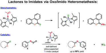 Graphical abstract: Direct imidation of lactones via catalytic oxo/imido heterometathesis