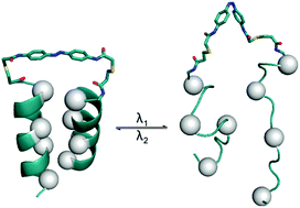 Graphical abstract: Conformational control in a photoswitchable coiled coil