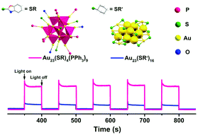 Graphical abstract: Distinct structure assembly driven by metal–ligand binding in Au23 nanoclusters and its relation to photocatalysis