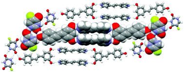 Graphical abstract: Clues from cocrystals: a ternary solid, polymorphism, and rare supramolecular isomerism involving resveratrol and 5-fluorouracil