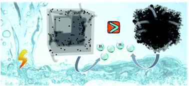 Graphical abstract: Double-shelled carbon nanocages grafted with carbon nanotubes embedding Co nanoparticles for enhanced hydrogen evolution electrocatalysis