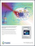 Graphical abstract: Inside back cover