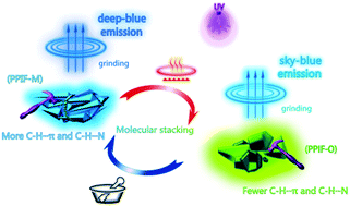 Graphical abstract: Polymorphic mechanoresponsive luminescent material based on a fluorene–phenanthroimidazole hybrid by modulation of intramolecular conformation and intermolecular interaction