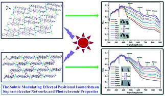 Graphical abstract: The impact of positional isomerism on electronic and photochromic properties of 1D zinc-based naphthalene diimide coordination polymers