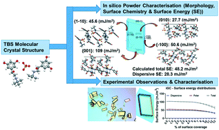 Graphical abstract: A digital workflow from crystallographic structure to single crystal particle attributes for predicting the formulation properties of terbutaline sulfate