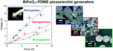 Graphical abstract: Effect of particle size and morphology on the performance of BiFeO3–PDMS piezoelectric generators