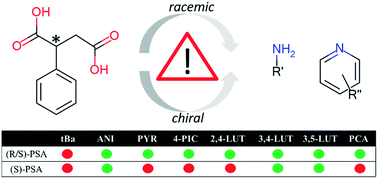 Graphical abstract: Systematic comparison of racemic and enantiopure multicomponent crystals of phenylsuccinic acid—the role of chirality
