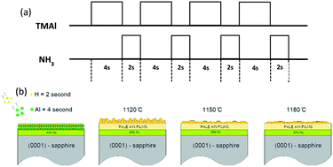 Graphical abstract: Agglomeration enhancement of AlN surface diffusion fluxes on a (0 0 0 1)-sapphire substrate grown by pulsed atomic-layer epitaxy techniques via MOCVD