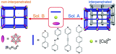 Graphical abstract: Solvent-dependent supramolecular self-assembly of boron cage pillared metal–organic frameworks for selective gas separation