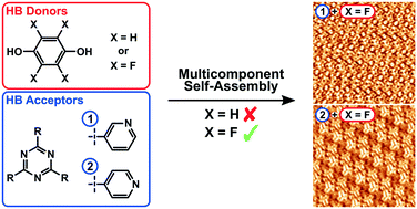 Graphical abstract: Fluorination as a route towards unlocking the hydrogen bond donor ability of phenolic compounds in self-assembled monolayers