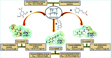 Graphical abstract: Biological activity tuning of antibacterial urotropine via co-crystallization: synthesis, biological activity evaluation and computational insight