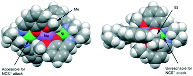 Graphical abstract: Diminishing accessibility of electrophilic nickel(ii) centres due to incorporation of a methylene spacer in the pendant side arm of a series of heterotrinuclear nickel(ii)/sodium complexes: a DFT study using a homodesmotic equation