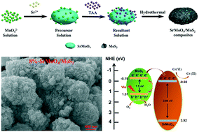Graphical abstract: One-step hydrothermal fabrication of SrMoO4/MoS2 composites with strong interfacial contacts for efficient photoreduction removal of Cr(vi)
