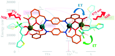 Graphical abstract: Enhanced near-infrared luminescence in Ln2Cd2 (Ln = Nd, Yb) heterotetranuclear complexes