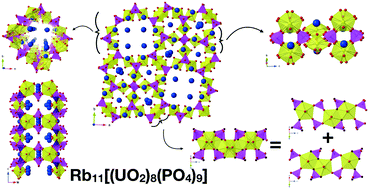 Graphical abstract: Targeted crystal growth of uranium gallophosphates via the systematic exploration of the UF4–GaPO4–ACl (A = Cs, Rb) phase space