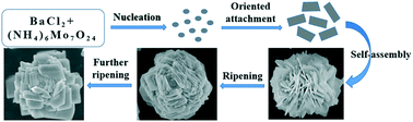 Graphical abstract: Controllable synthesis, characterization and photoluminescence properties of flower-like BaMoO4 hierarchical architectures