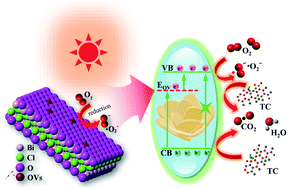 Graphical abstract: Syntheses of Nymphaea-like BiOCl with oxygen vacancies for effective removal of tetracycline hydrochloride