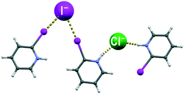 Graphical abstract: Halogenide anions as halogen and hydrogen bond acceptors in iodopyridinium halogenides