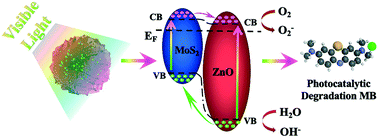 Graphical abstract: Construction of an MZO heterojunction system with improved photocatalytic activity for degradation of organic dyes