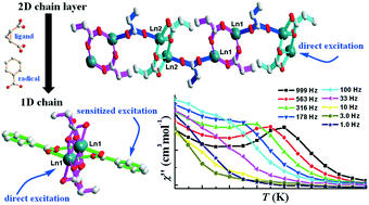 Graphical abstract: 2D chain layer versus 1D chain: rigid aromatic benzoate disassembling flexible alicyclic dicarboxylate-based lanthanide coordination polymers with enhanced photoluminescence and characteristic single-molecule magnet behavior