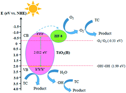 Graphical abstract: In situ coupling of TiO2(B) and ZIF-8 with enhanced photocatalytic activity via effective defect