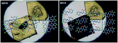 Graphical abstract: Seed-triggered solid-to-solid transformation between color polymorphs: striking differences between quasi-isomorphous crystals of dichloro-substituted salicylideneaniline regioisomers