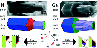 Graphical abstract: A systematic study of Ga- and N-polar GaN nanowire–shell growth by metal organic vapor phase epitaxy