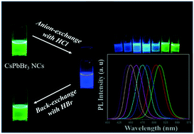 Graphical abstract: Fast, tunable and reversible anion-exchange in CsPbBr3 perovskite nanocrystals with hydrohalic acids