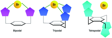 Graphical abstract: Structural investigation of bromide complexation with bipodal, tripodal and tetrapodal cationic molecules