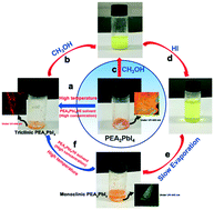 Graphical abstract: Layered hybrid lead perovskite single crystals: phase transformations and tunable optical properties