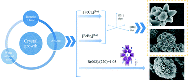 Graphical abstract: Growth behavior and influence factors of three-dimensional hierarchical flower-like FeF3·0.33H2O